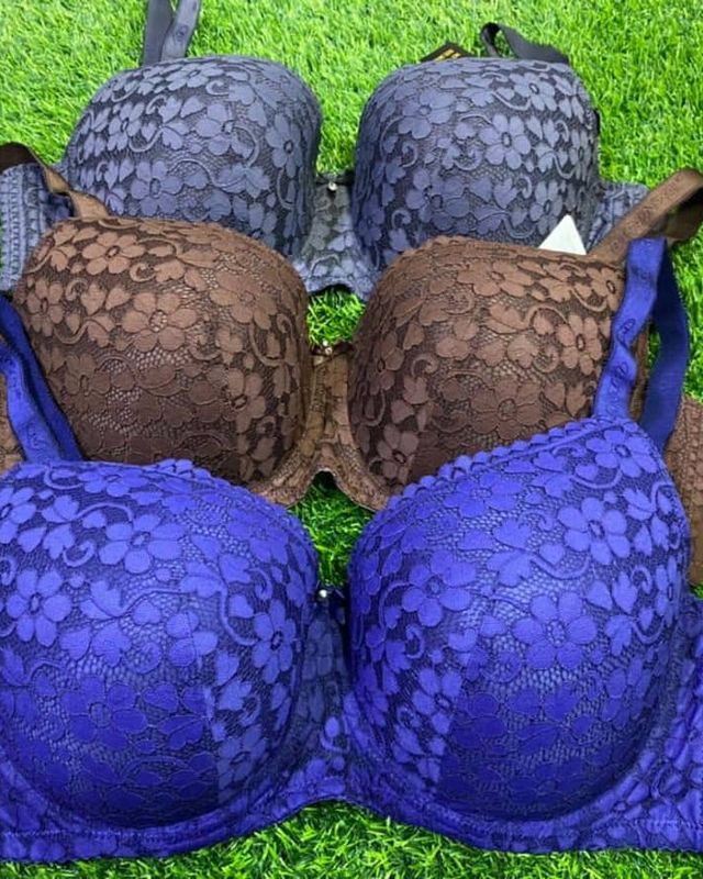 Lace padded bras in jewel tones